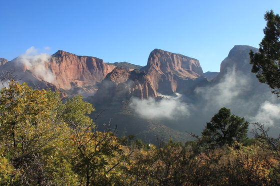 Zion Nat'l Park