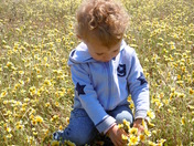 Carrizo Plain National Monument