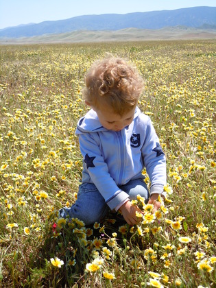 Carrizo Plain National Monument