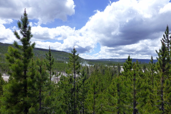 Yellowstone National Park