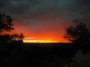 Navajo National Monument