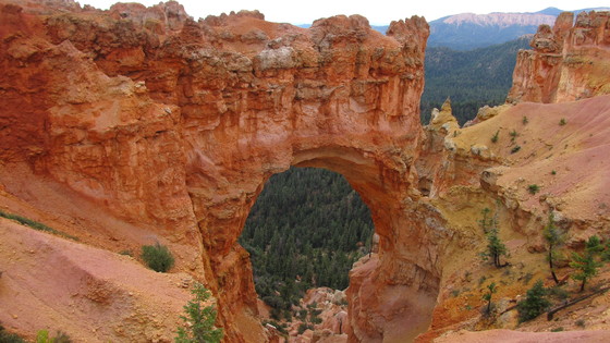 zion national park