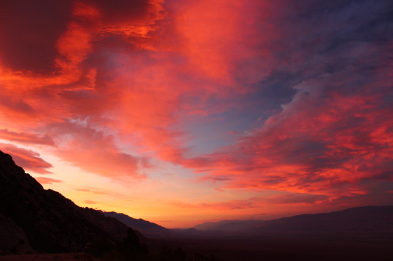Inyo National Forest