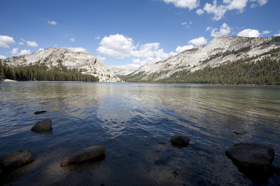 Yosemite National Park