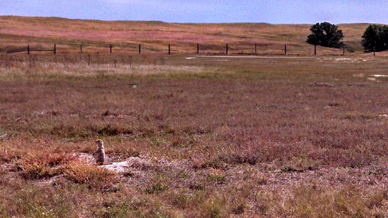 fort niobrara national wildlife refuge