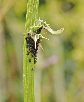 Point Reyes National Seashore