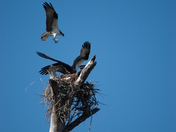 Gulf Islands National Seashore