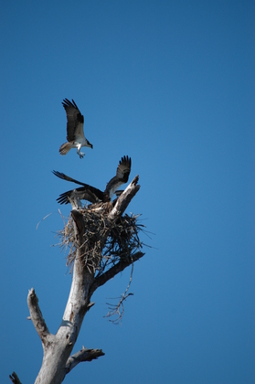 Gulf Islands National Seashore
