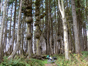 Olympic National Park