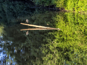 Tualatin River National Wildlife Refuge
