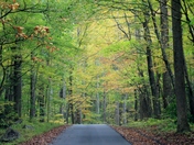 Smoky Mountain National Park