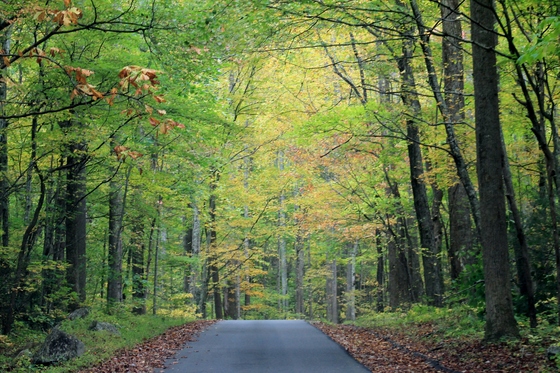 Smoky Mountain National Park