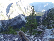 Yosemite National Park