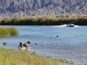 Havasu National Wildlife Refuge