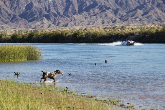 Havasu National Wildlife Refuge