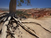 Bryce Canyon National Park