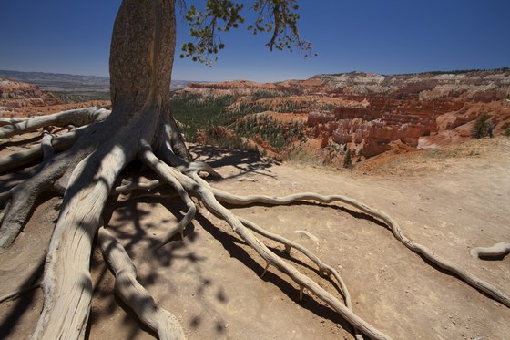 Bryce Canyon National Park