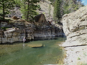 Shoshona National Forest