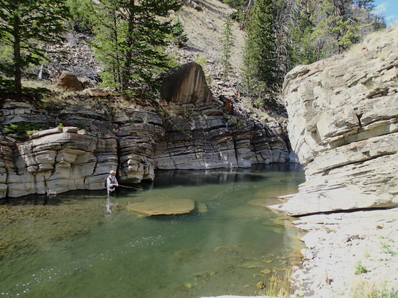 Shoshona National Forest