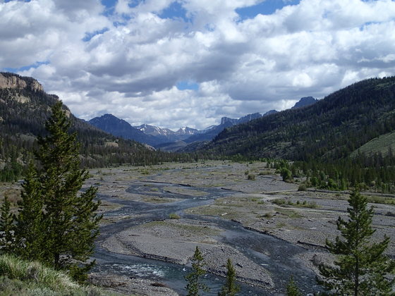 Shoshone National Forest