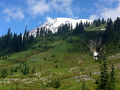 Mount Rainier National Park 