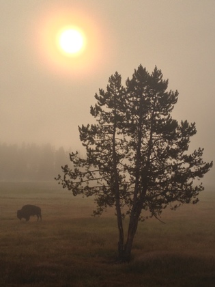 Yellowstone National Park