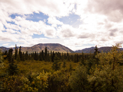 Denali National Park & Preserve