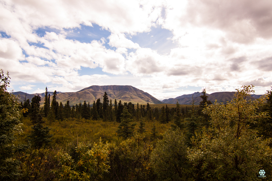 Denali National Park & Preserve