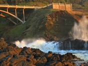Siuslaw National Forest (Cape Perpetua)