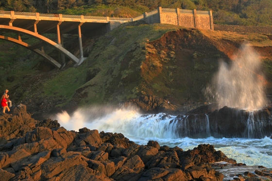 Siuslaw National Forest (Cape Perpetua)