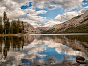 Yosemite National Park
