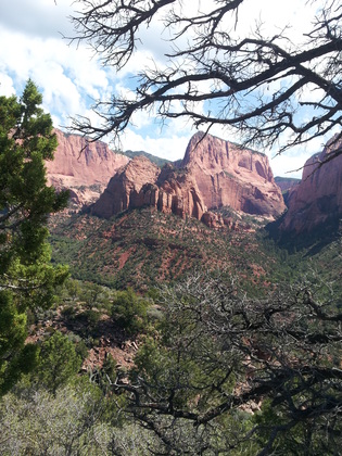 Zion National Park