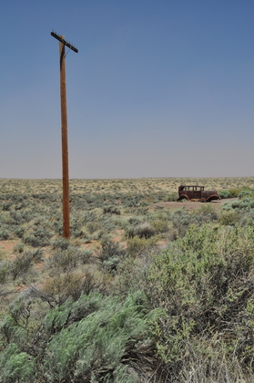 Petrified Forest National Park