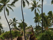 Pu`uhonua O Honaunau National Historical Park