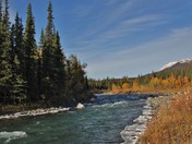 Denali National Park Alaska