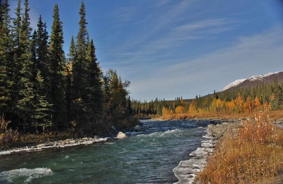 Denali National Park Alaska