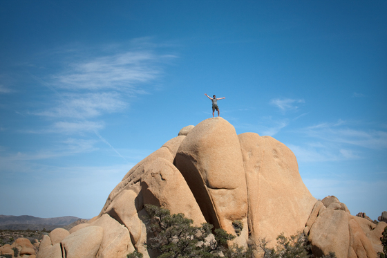 Joshua Tree National Park