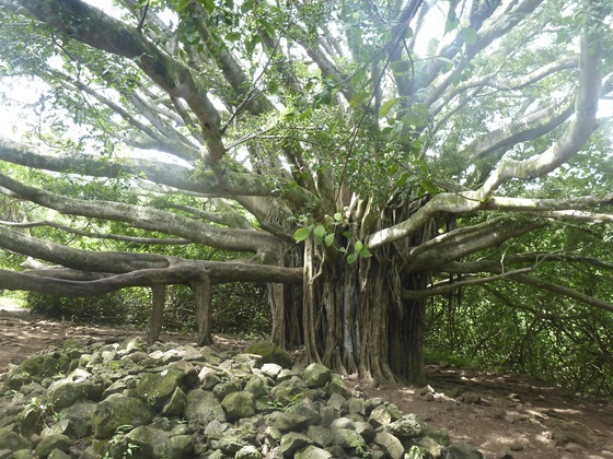 Haleakala National Park