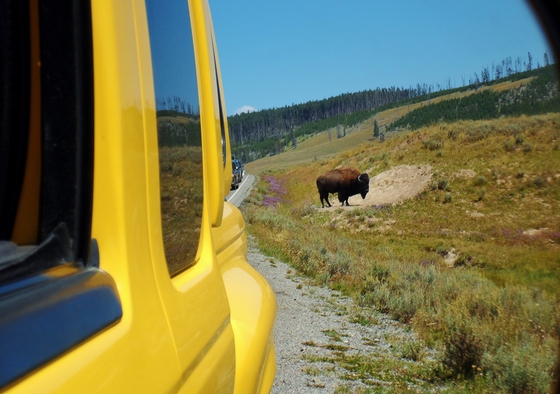 Yellowstone National Park