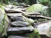 Great Smoky Mountains National Park