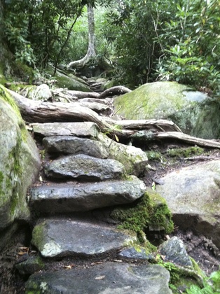 Great Smoky Mountains National Park