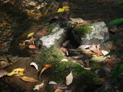 Blanchard Springs Caverns - Ozark - St Francis