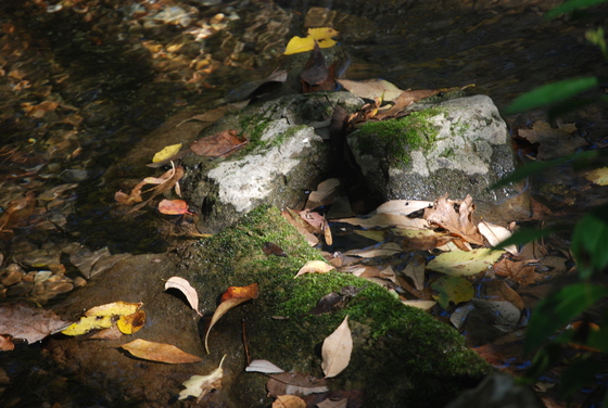 Blanchard Springs Caverns - Ozark - St Francis
