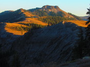 Tohoe National Forest