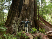 Redwood National Park