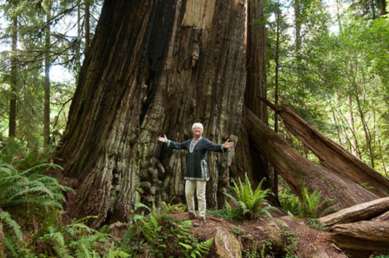 Redwood National Park