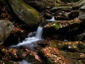 Blue Ridge Parkway - MM 296