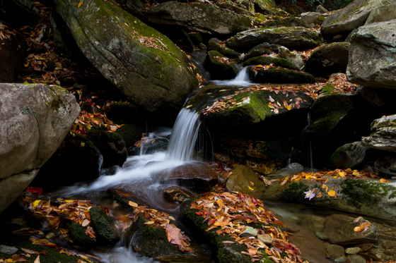 Blue Ridge Parkway - MM 296
