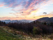  White Mountain National Forest