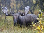 Yukon Flats National Wildlife Refuge